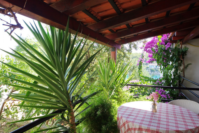 Eksterijer, Villa Hraste Hvar, prvi red do mora Hvar